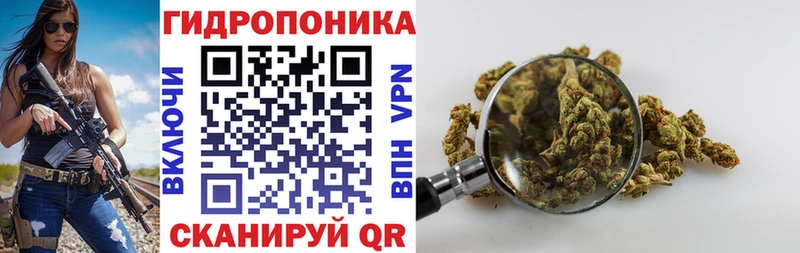 гидра сайт  Шелехов  Бошки Шишки Amnesia 